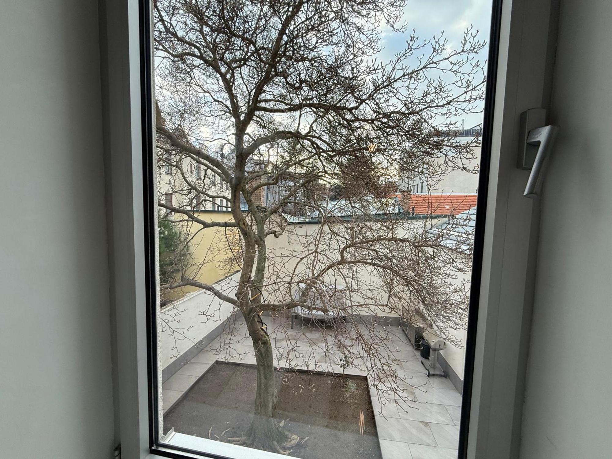 Apartment Number 4 Viyana Dış mekan fotoğraf
